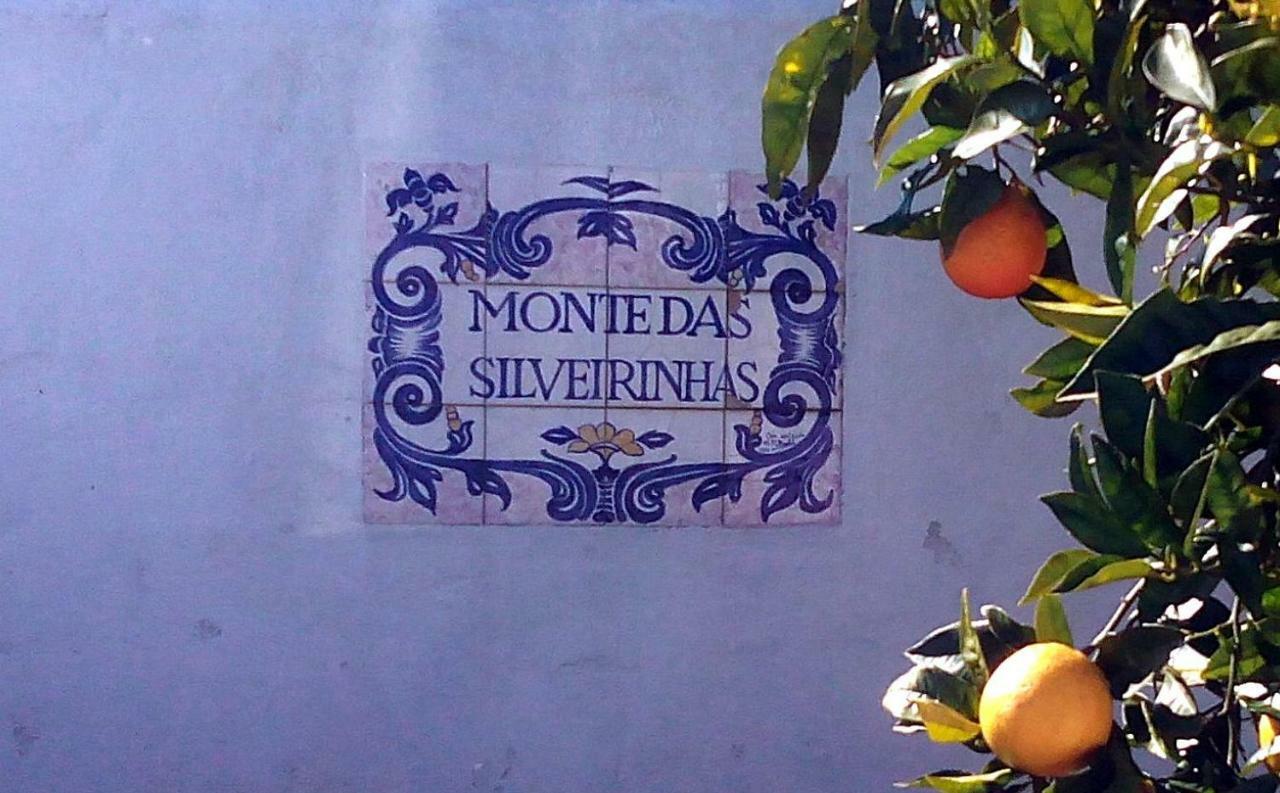 Villa Monte Das Silveirinhas - Casa Rural Charnequinha Silveiras Exterior foto